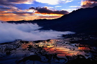 哀牢山有媲美黄山的风景,去了就不想走