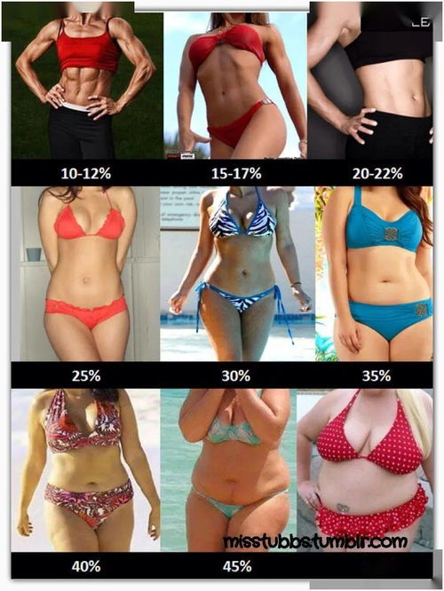 女子 体 脂肪 率 平均