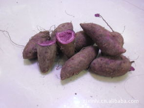 紫红薯(请问紫薯和紫地瓜是一种东西吗)