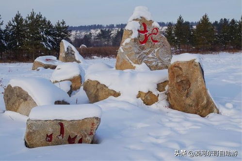 因为雪爱上这寂美的冬季 漠河冬季旅游向你发出邀请