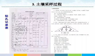 土壤采样方案模板(土壤样品的采样方案)