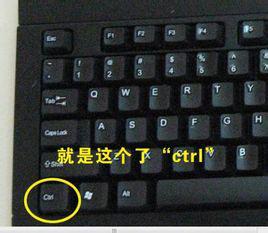 ctrl键的介绍 