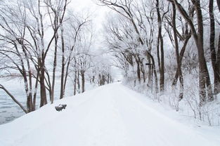 西宁人盼来的这场雪,好处竟然这么多 