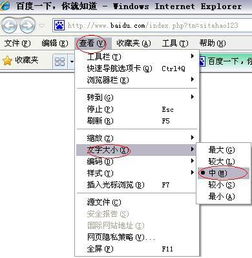 我家网页点开后 字幕都变大了 怎么弄回去 