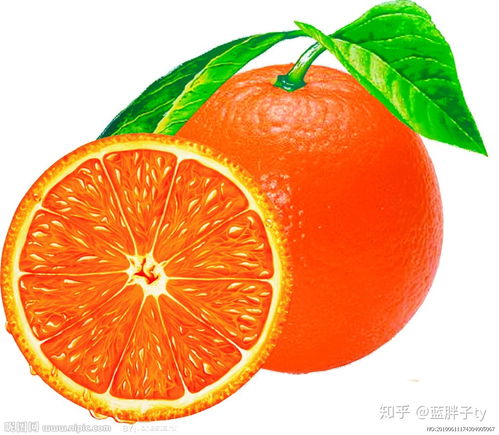 橙子养身茶(橙子养身茶：提神醒脑，滋补健康的天然饮品！)