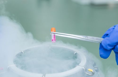 一文看懂为什么要冻存我们的免疫细胞
