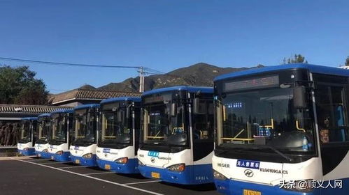 提醒 杨镇北务将新增公交,还有2条公交线路调整