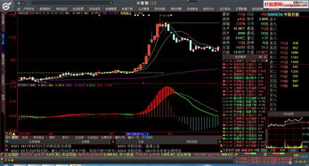 大智慧软件中多图组合多周期组合怎样能同时有MA和MACD指标，请教高手！谢谢！！