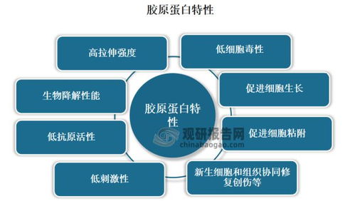 学校集中查重的发展趋势与未来展望