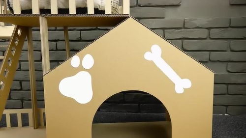 用纸板给狗狗做一个小窝,这动手能力也是没谁了 