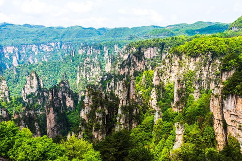 到张家界旅游的注意事项攻略