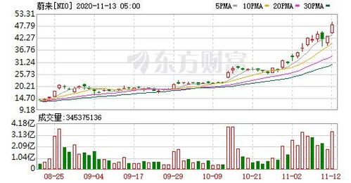 美股新能源汽车股盘前整体上涨