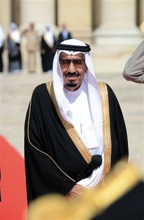 沙特王子迪拜王子 斗图表情包大全 - 与 沙特王