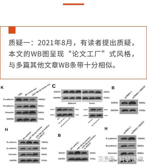 工科论文需要查重吗