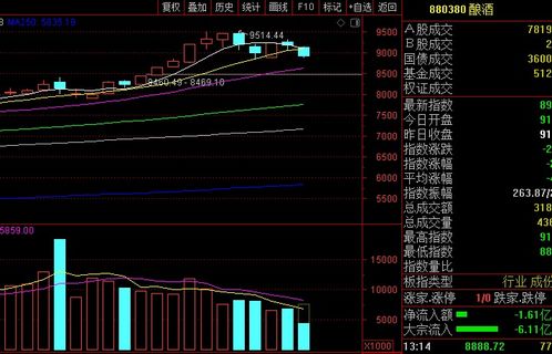 大盘如果崩盘你会怎么办？谢谢