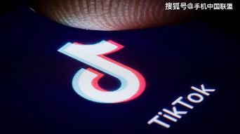 tiktok手机账号注册_TikTok品牌推广