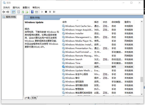 win10家庭版怎么提权