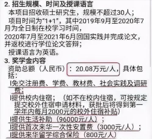 引进黑人的专家建议(国家引进非洲留学生的真正意义)