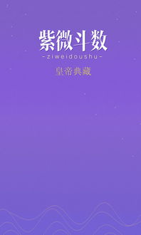 紫薇和生辰八字那个准(紫微斗数准还是八字准)