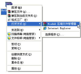 为什么我 电脑下载 压缩文件显示的都是这个样子啊。打开就是乱码