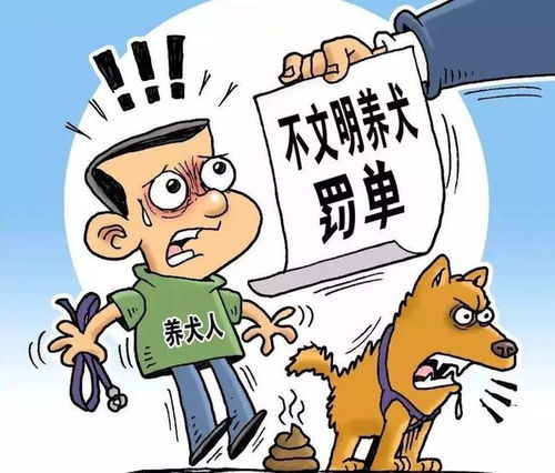 太原市养犬管理条例 今起施行 养犬赶紧登记 否则会被罚款