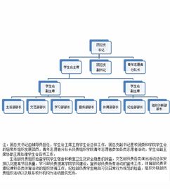 信息传媒学院团委学生会组织机构