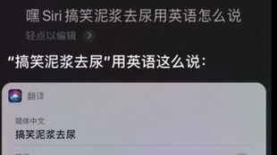 Siri搞笑泥浆去尿用英语怎么说