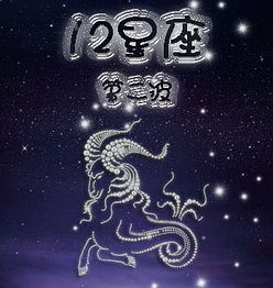 12星座 第二波