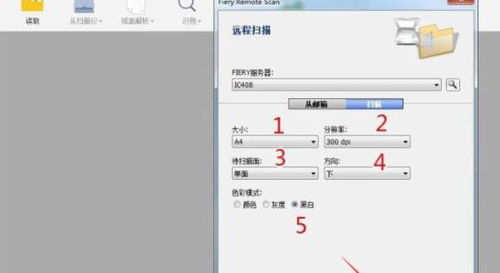 wps会员文字怎么使用 wps会员文字怎么使用教程