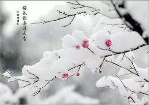 十首春雪诗词 白雪却嫌春色晚 故穿庭树作飞花