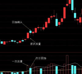 如何正确理解量在价先这句话呢