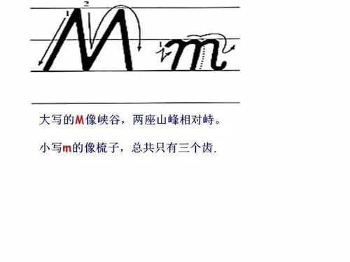 字母怎么写啊