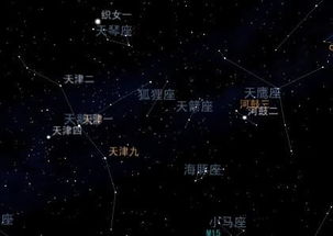 璀璨的星空