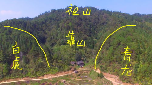 左青龙右白虎,背有大靠山,祖山守护,这个房子才真正的风水宝地 