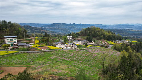 四川巴中平昌元山镇