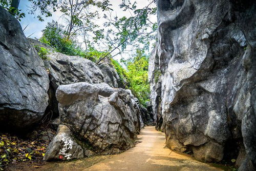 浙江也有石林景区,堪称象形石动物园,网友 这个纬度好神奇