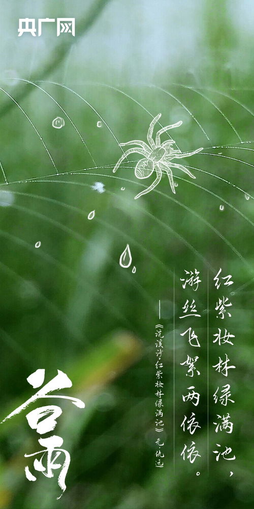 谷雨文案短句干净