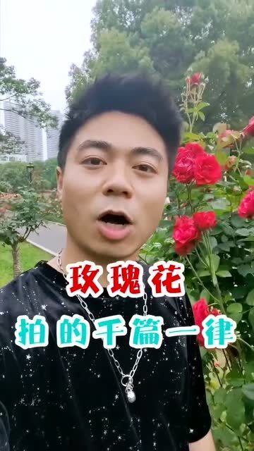 玫瑰花该怎么拍出高级感,现在学会了吧 