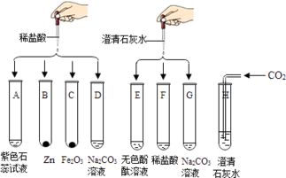 人被蚊虫叮咬后,蚊虫在人的皮肤内分泌出蚁酸,使叮咬处又痛又痒 化学小组同学对蚁酸产生了浓厚的兴趣,决定对其进行探究 蚁酸的成分是什么 它有什么性质 