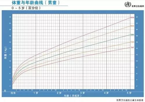 没有米尺如何测身高