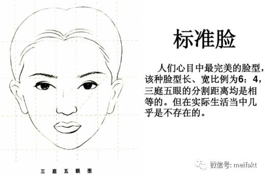 发型设计元素 脸型的特征 素材 