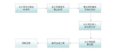 成立子公司需要进行什么样的流程啊