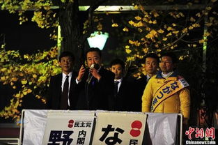 日本众院选举现任8名阁僚落选 人数创纪录 