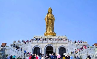 1.27 30 初三 初六 普陀山祈福 西塘 半卧大巴三日游 下午发车900元