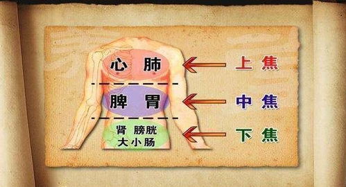 身体不仅怕冷,还容易上火,这是咋回事 该如何调理