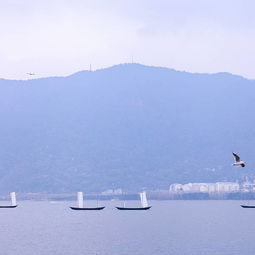 滇池海埂大坝附近免费停车场,海埂大坝两日游,应该如何合理地安排路线?