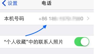苹果手机隐藏号码怎么设置 