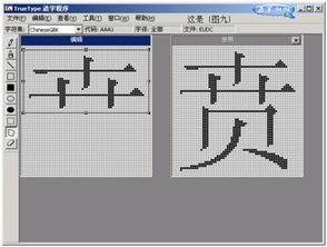 请简要叙述如何用TrueType造字程序造字,又如何在Word中输入该字 