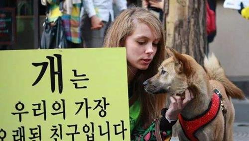 韩国有趣的冷知识 韩国有趣的冷知识电影