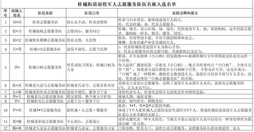 桂城街道退役军人志愿服务队伍名字和品牌口号投票